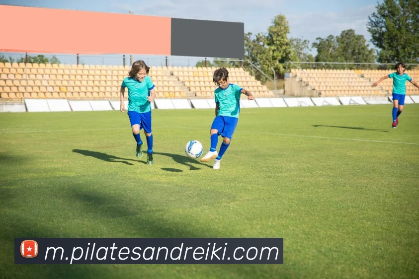 星空官网免费入口APP 封面图
